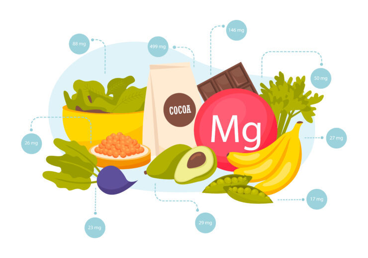 Magnesium Foods Composition