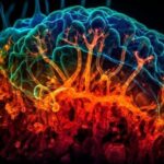 The Role of Neurogenesis in Depression Recovery