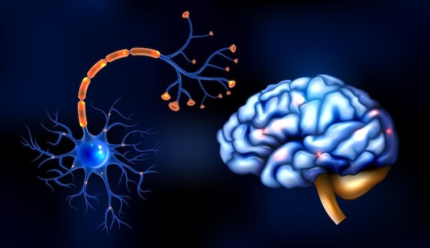 The Role of Neurotransmitters