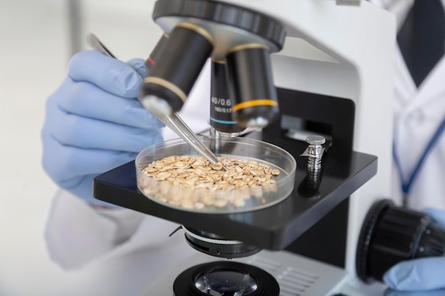 Research on Gluten and OCD